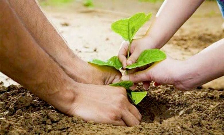 Environment-amravati-mandal