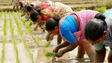 Kharif-Sowing-amravati-mandal