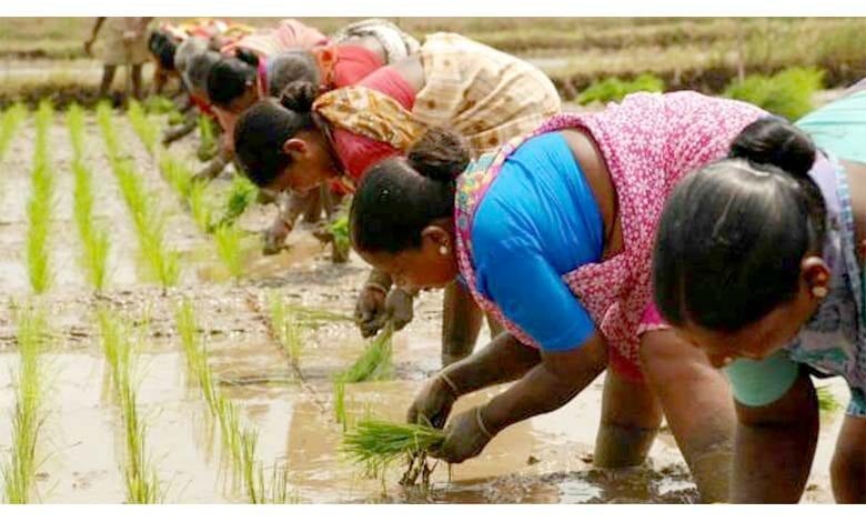 Kharif-Sowing-amravati-mandal