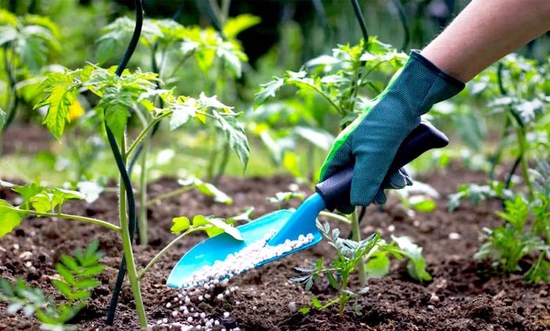 Fertilizers-amravati-mandal