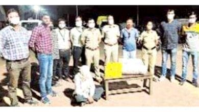 Hemp-Caught-amravati-mandal