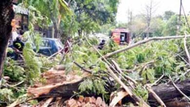 Yas-Storm-amravati-mandal