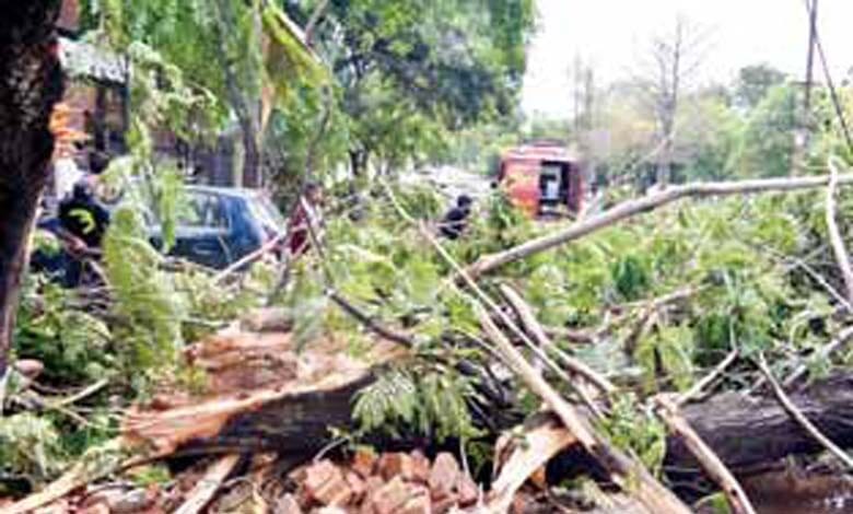 Yas-Storm-amravati-mandal
