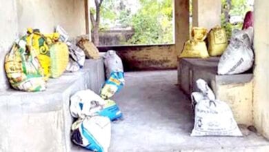 Bones-of-the-dead-amravati-mandal