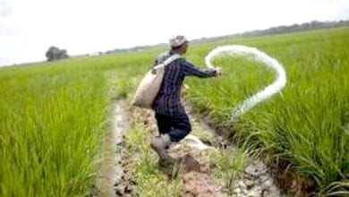 chemical-fertilizer-amravati-mandal