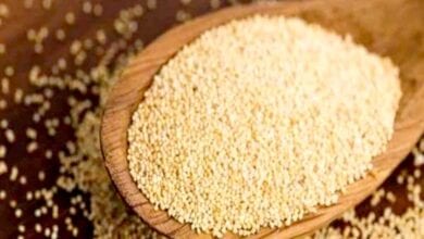 Poppy-Seed-amravati-mandal