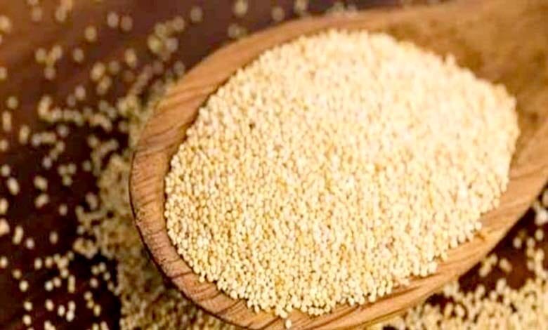 Poppy-Seed-amravati-mandal