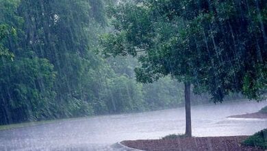 Heavy-rains-amravati-mandal