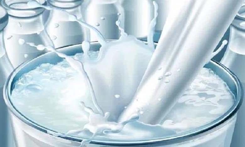 Milk-Dairi-amravati-mandal