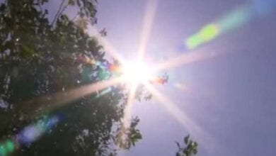 Summer-Amravati-Mandal