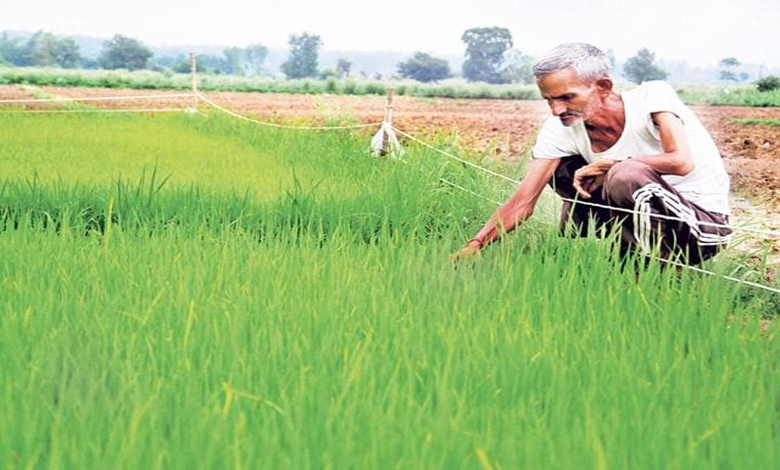 Farmer-Amravati-Mandal