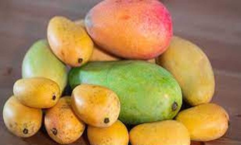Mangos-Amravati-Mandal