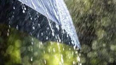 Monsoon-Amravati-Mandal
