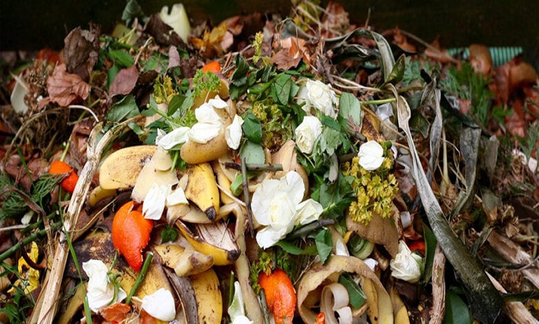 Organic-Waste-Amrvati-Mandal