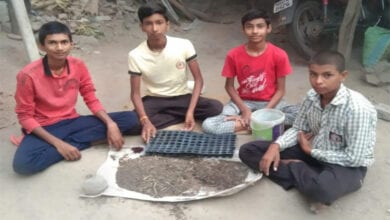Plant-Amravati-Mandal