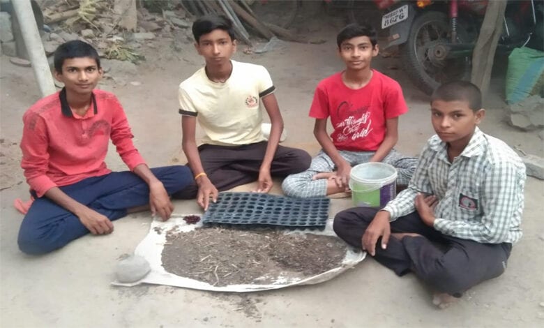 Plant-Amravati-Mandal