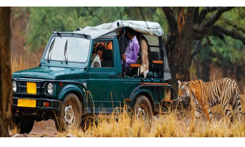 Safari-Amravati-Mandal