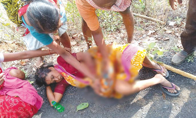 Tiger-Attack-Amravati-Mandal