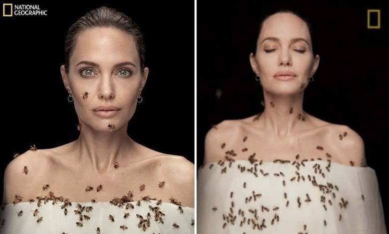angelina-jolie-amravati-mandal