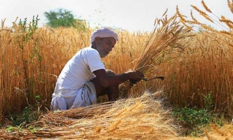 farmer-amravati-mandal
