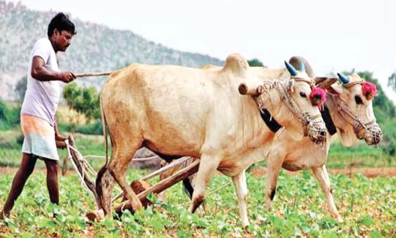 farmer-amravati-mandal