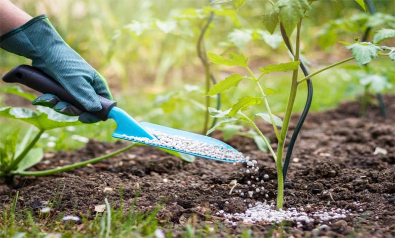 fertilizer-amravati-mandal