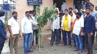 mahavitran-amravati-mandal
