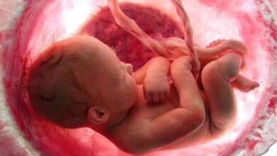 pregnant-women-amravati-mandal
