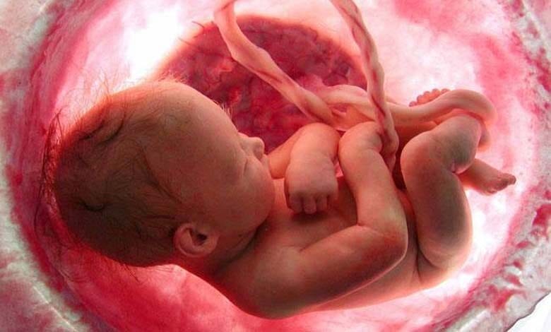 pregnant-women-amravati-mandal