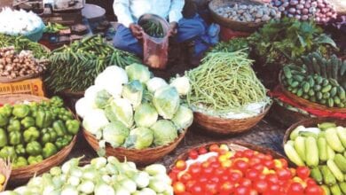 vegtables-amravati-mandal