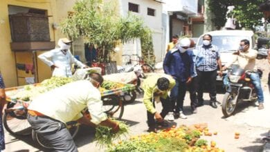 vegtables-market-amravati-mandal