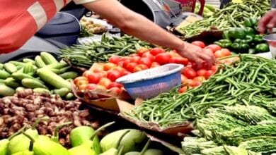 Vegetables-amravati-mandal