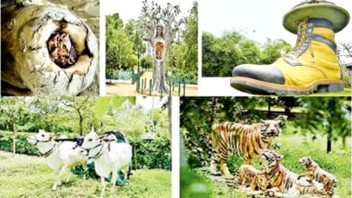 boot-garden-amravati-mandal