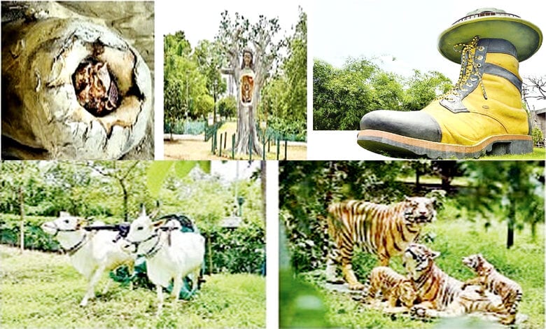 boot-garden-amravati-mandal
