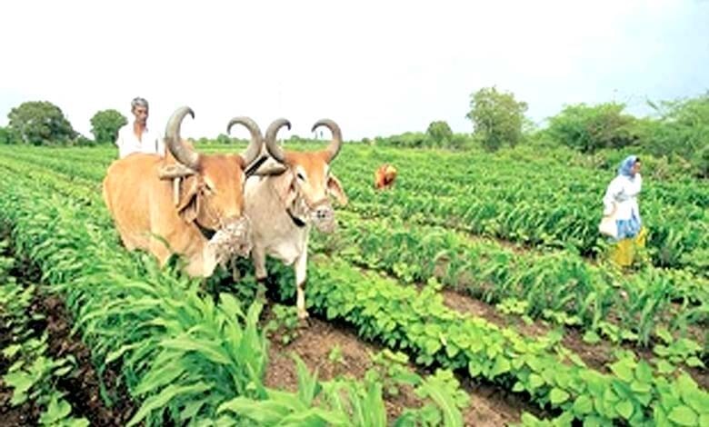 Farming-amravati-mandal