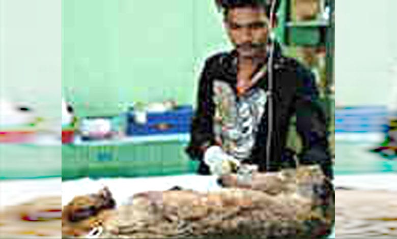 Dog-Serious-amravati-mandal