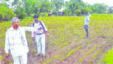 khet-amravati-mandal