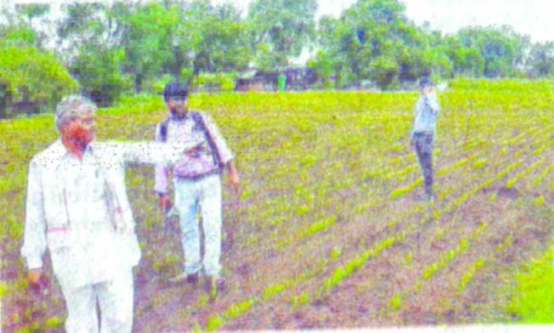 khet-amravati-mandal