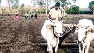 Farmer-amravati-mandal