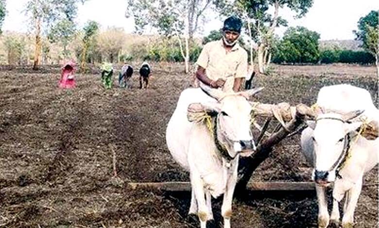 Farmer-amravati-mandal