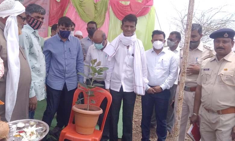 Tree-Planting-amravati-mandal