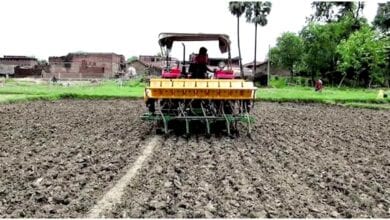 Sowing-amravati-mandal