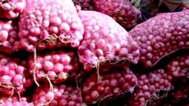 onions-amravati-mandal