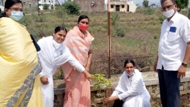Tree-Planting-amravati-mandal