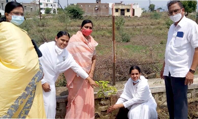 Tree-Planting-amravati-mandal