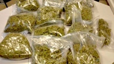 Hemp-amravati-mandal