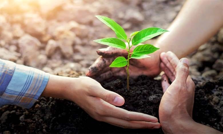 Tree-planting-campaign-amravati-mandal