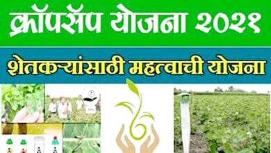 Cropsap-Plan-amravati-mandal
