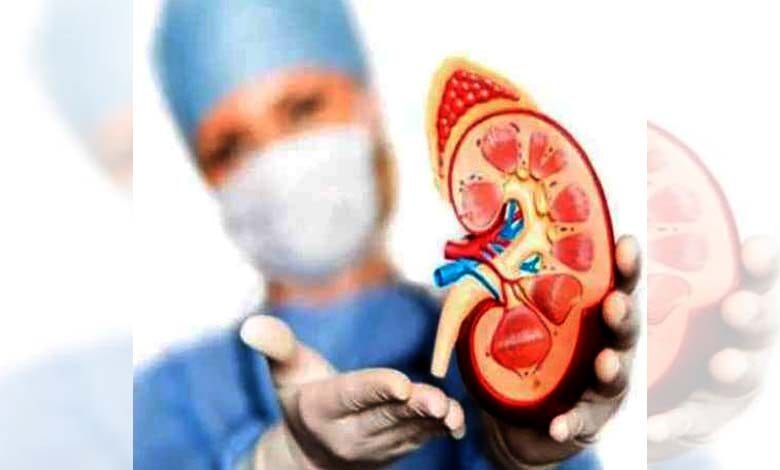 Kidney-amravati-mandal