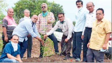 Plantation-amravati-mandal